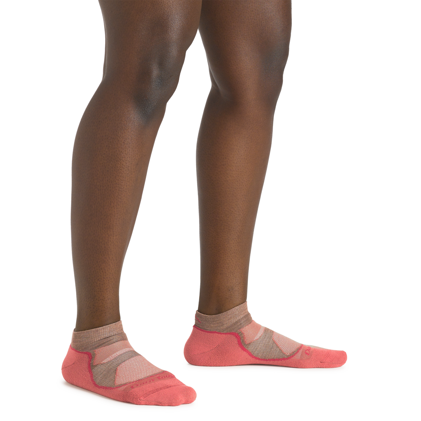 Women's Light Hiker No Show Lightweight Hiking Socks