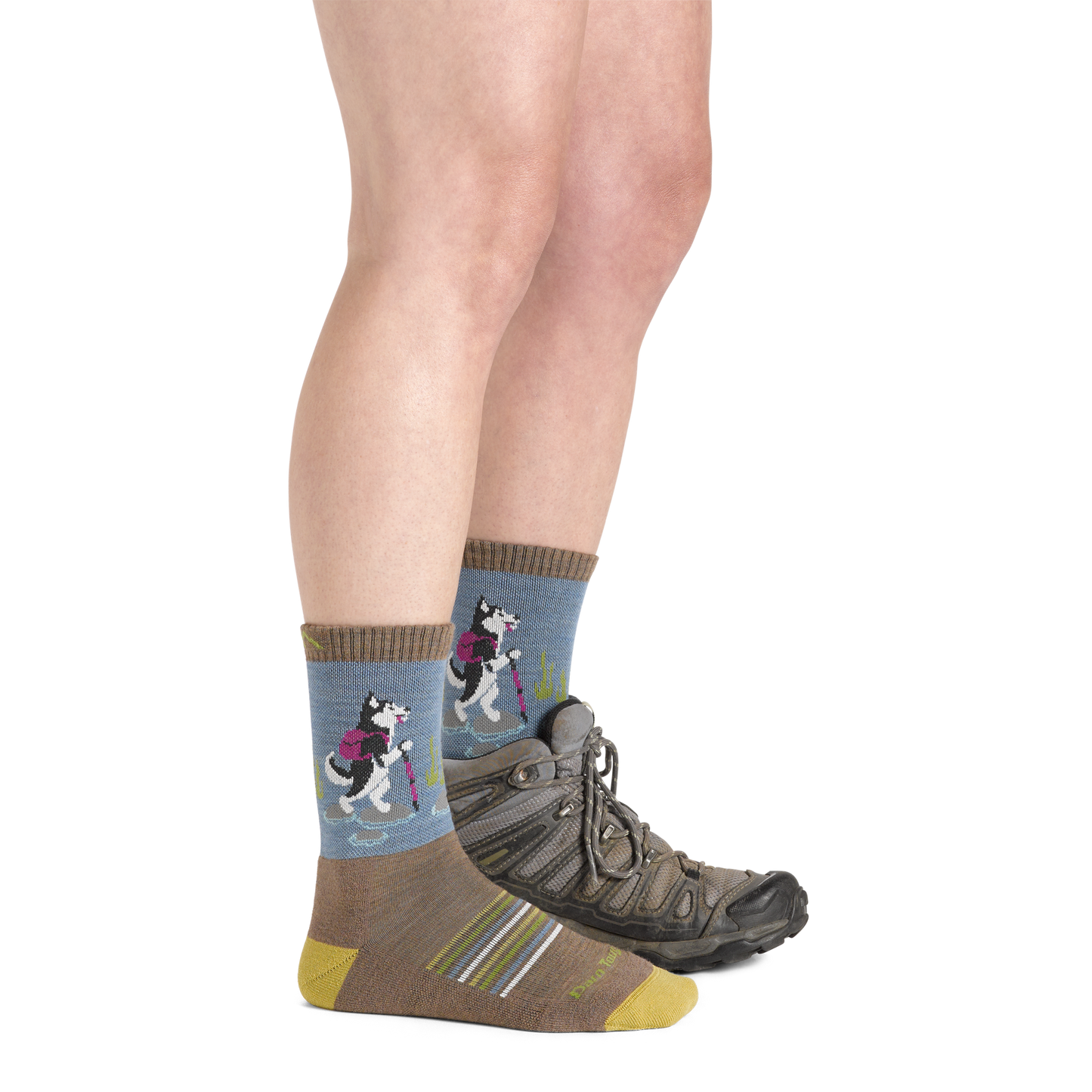 Women's Critter Club Micro Crew Lightweight Hiking Socks