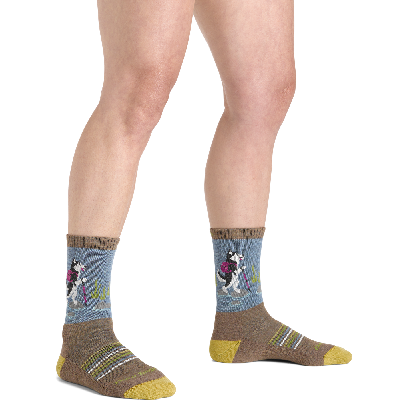 Women's Critter Club Micro Crew Lightweight Hiking Socks