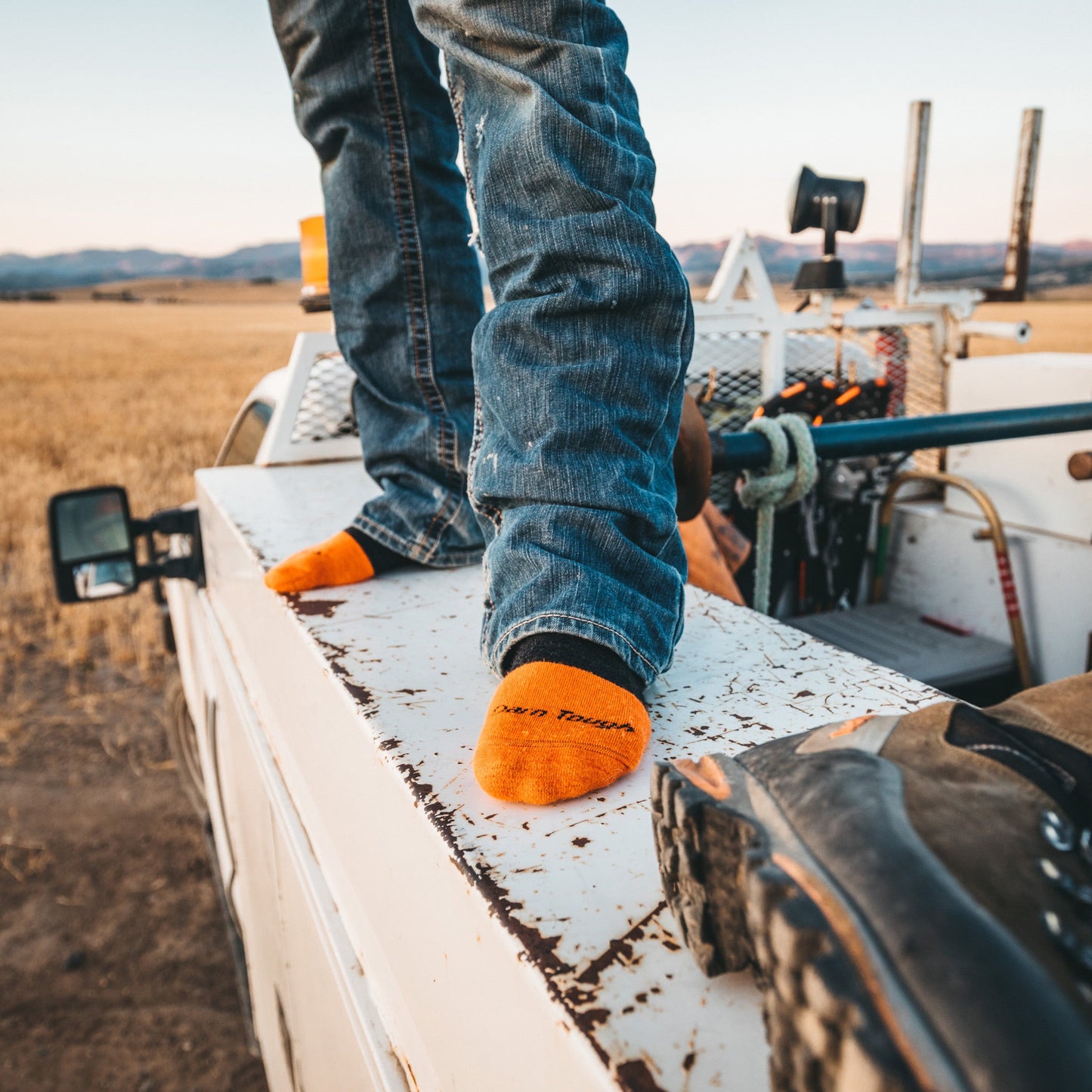 Men's Steely Boot Midweight Work Sock